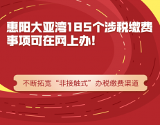 惠阳大亚湾185个涉税缴